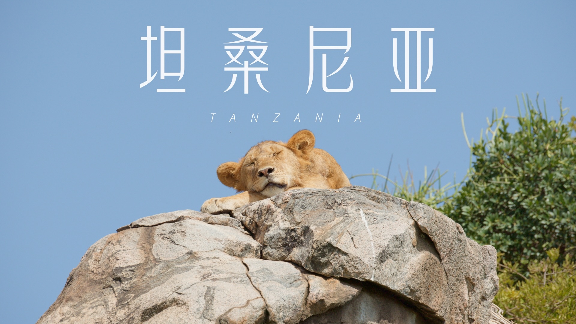 《坦桑尼亚》海报